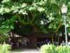 dsc31741_small.jpg