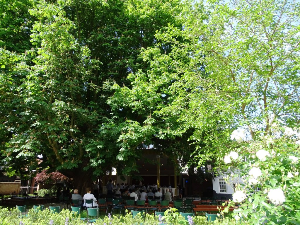 dsc31742.jpg