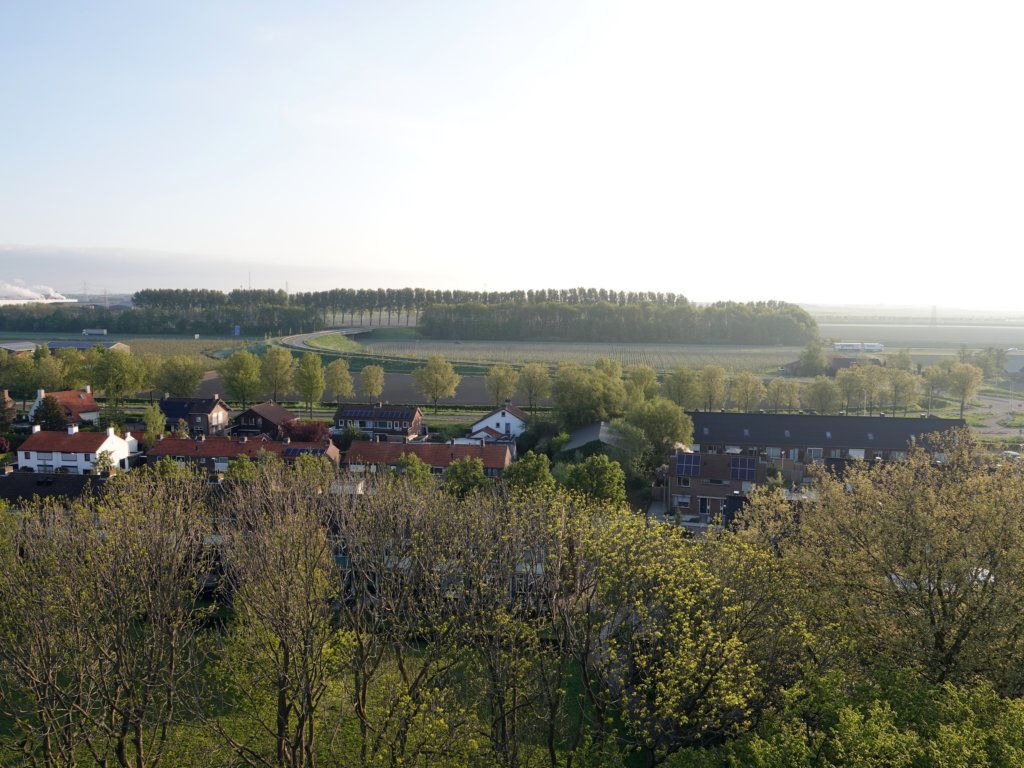 dsc44181.jpg