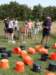 dsc50768_small.jpg