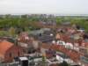 dsc57096_small.jpg